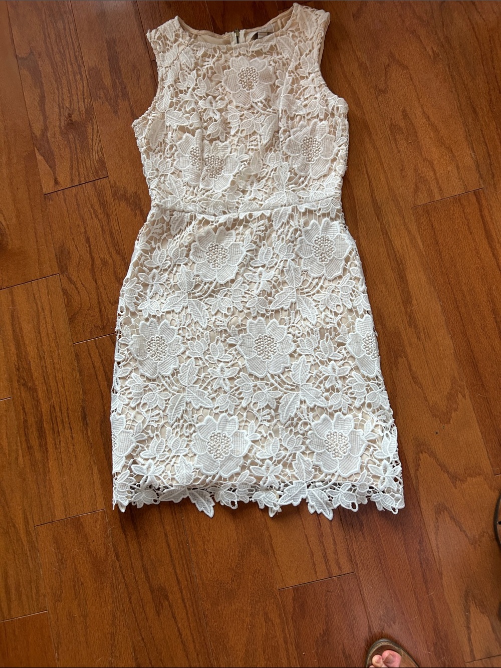 LOFT Ivory Floral Lace Sheath Mini Dress